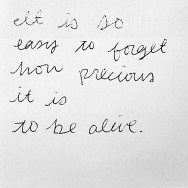 15083-Life-Is-Precious